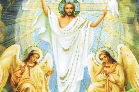 Ogłoszenia Duszpasterskie